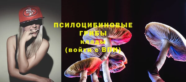стаф Зеленодольск