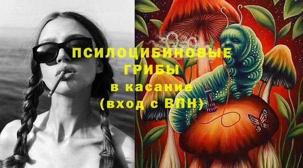 spice Приозерск
