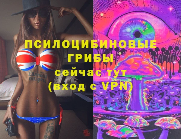 a pvp Протвино