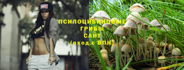 гидра Билибино
