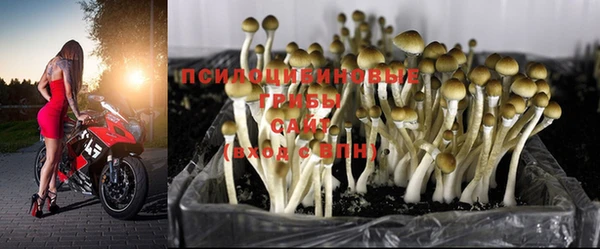 твердый Пролетарск