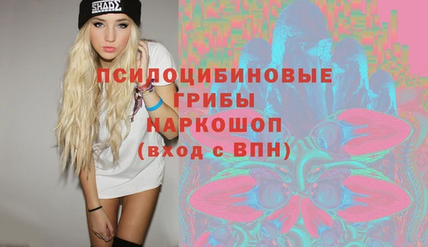 твердый Пролетарск
