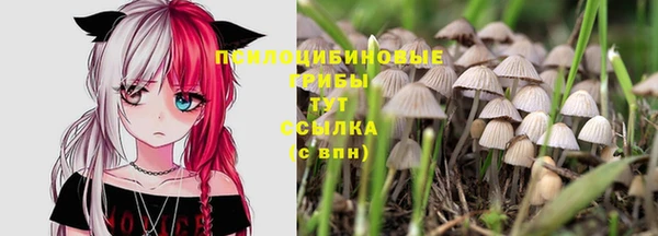 a pvp Протвино