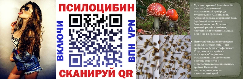 Псилоцибиновые грибы мицелий  Сердобск 