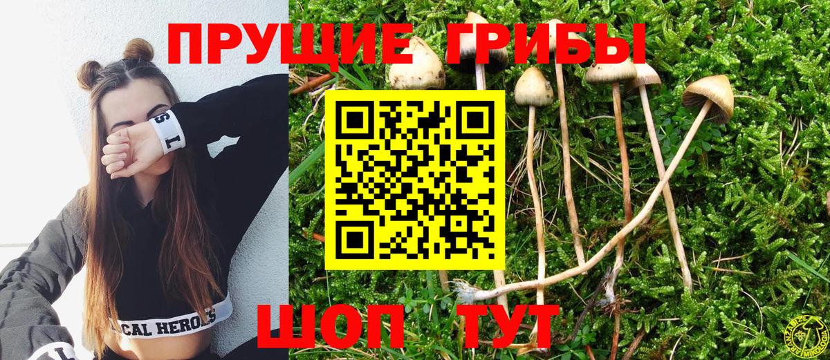 Сердобск  Псилоцибиновые грибы мухоморы  Вход с VPN 