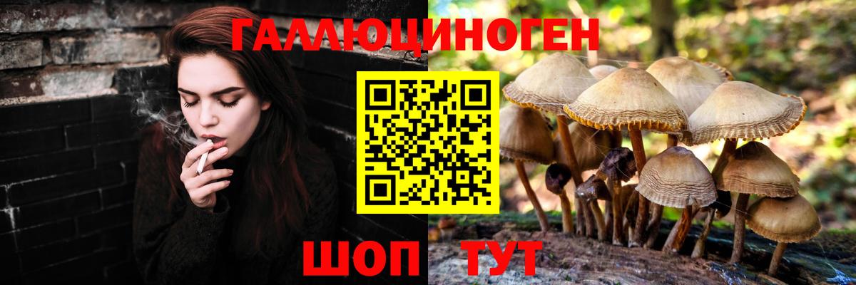 Галлюциногенные грибы GOLDEN TEACHER Сердобск